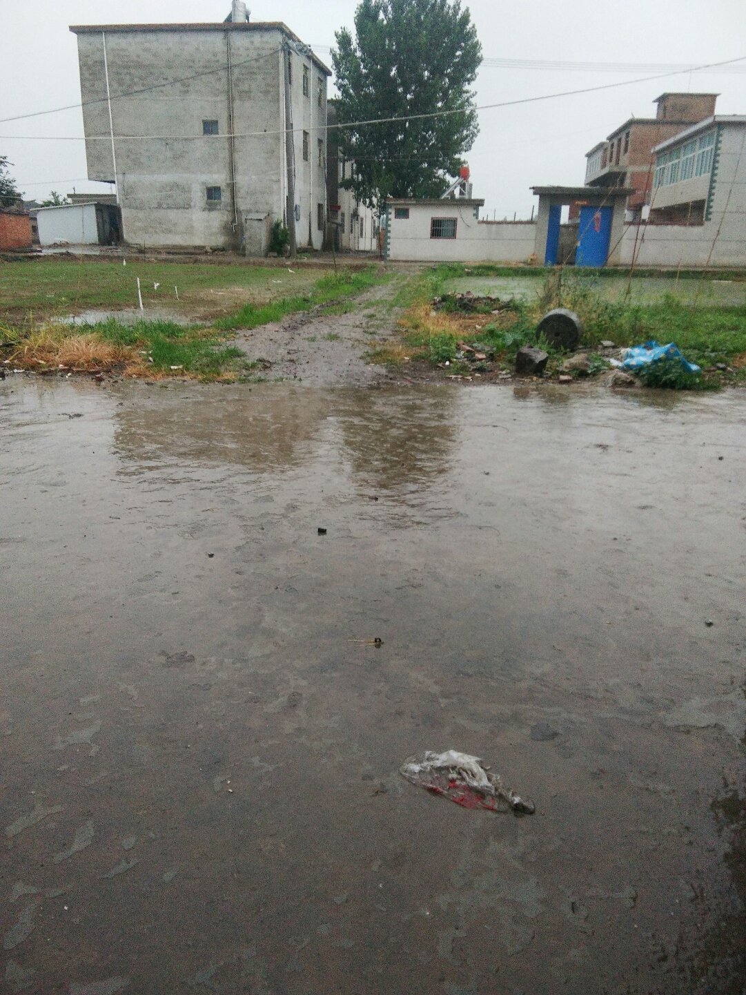 淮南到凤台_淮南凤台到张集公交车时间表_淮南凤台到合肥多少公里