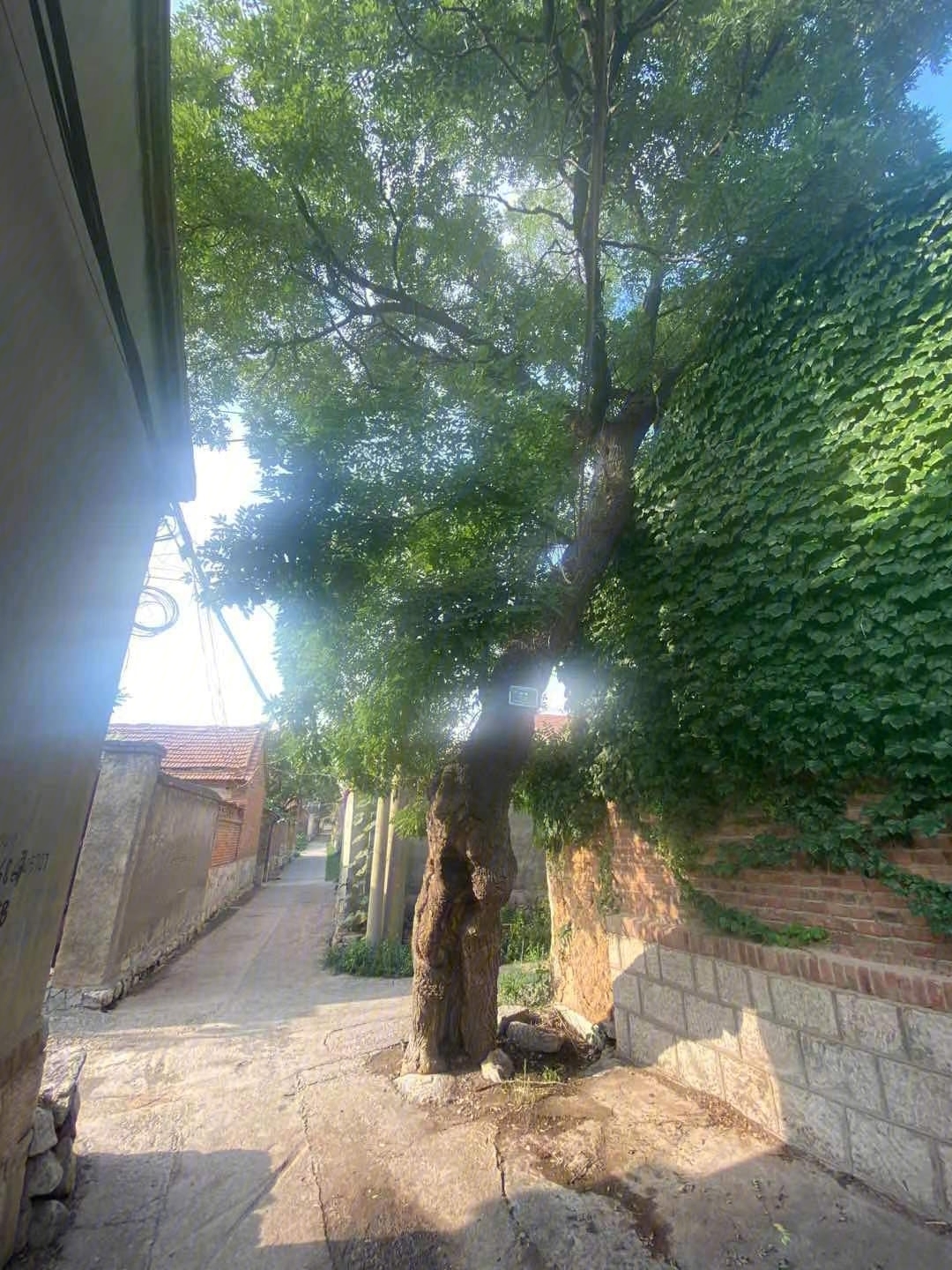 山东省烟台市开发区凤台小区_烟台开发区凤台小区地图_烟台开发区凤台小区