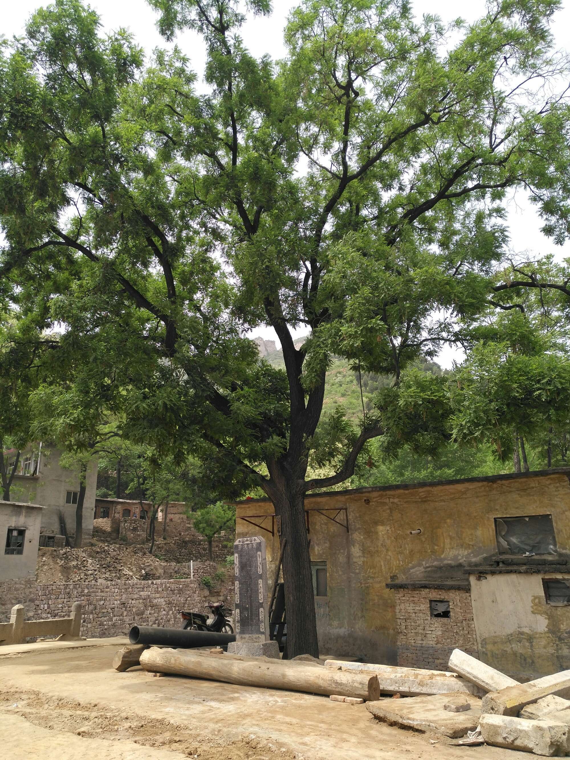 山东省烟台市开发区凤台小区_烟台开发区凤台小区地图_烟台开发区凤台小区