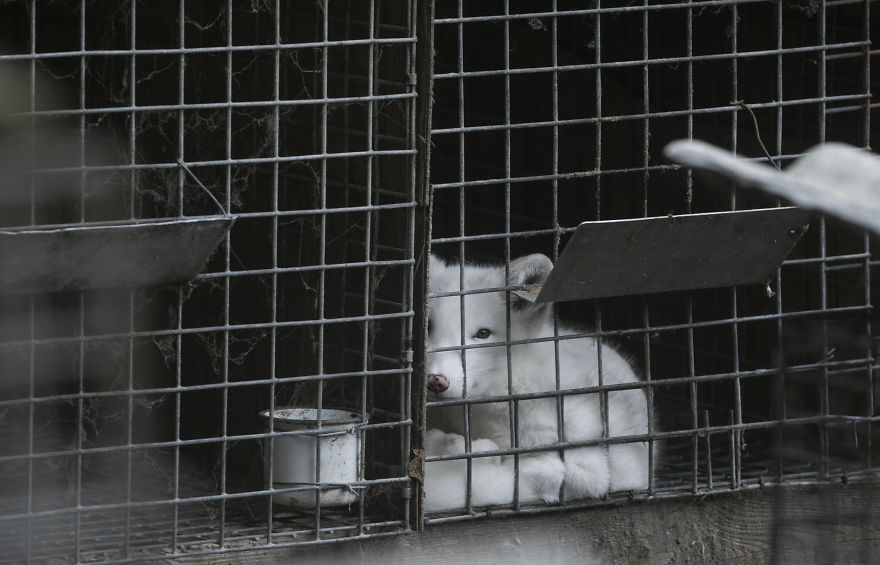 经典职场小故事_职场故事大全_职场小故事100字