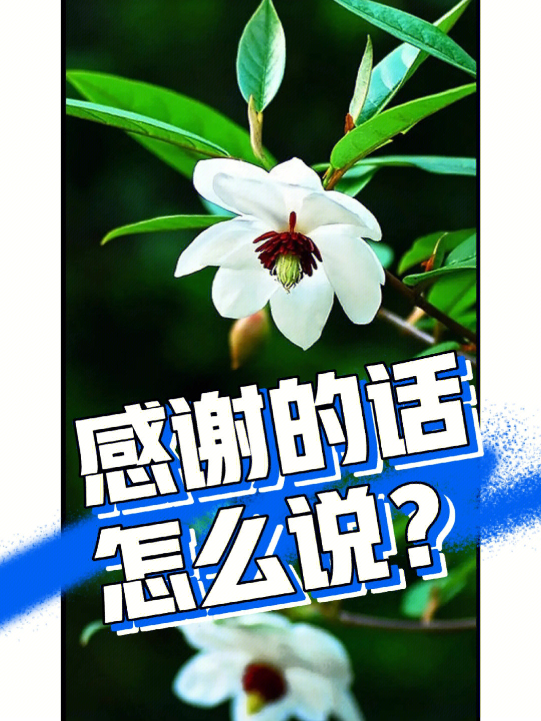 职场心理健康大讲堂_职场心理讲座视频_职场心理健康讲座