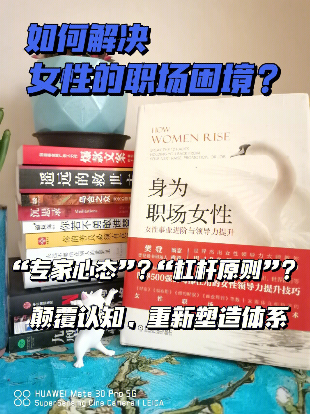职场女人的电视剧_女性职场电视剧排行榜前十名_关于女人职场的电视剧