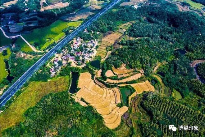 凤台县乡镇经济排名_凤台县乡镇排名_凤台县19年各乡镇经济排名