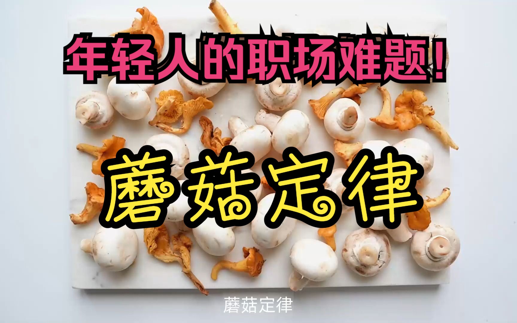 职场心理学几大定律_职场心理学的18个定律_职场定律心理学大纲