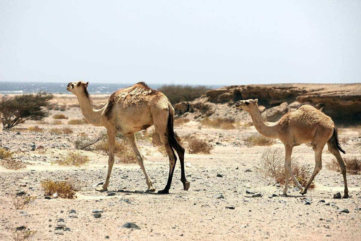 关于职场的励志故事_职场励志故事及感悟个人成长_吴士宏的职场励志故事