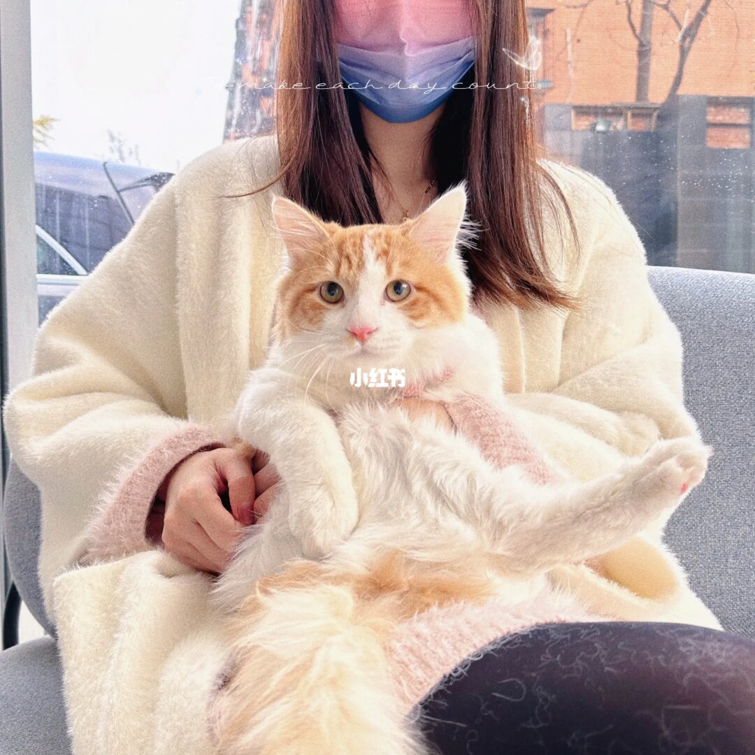 职场女追爱记小说_职场女追爱记完整版_北京职场追爱记讲的什么