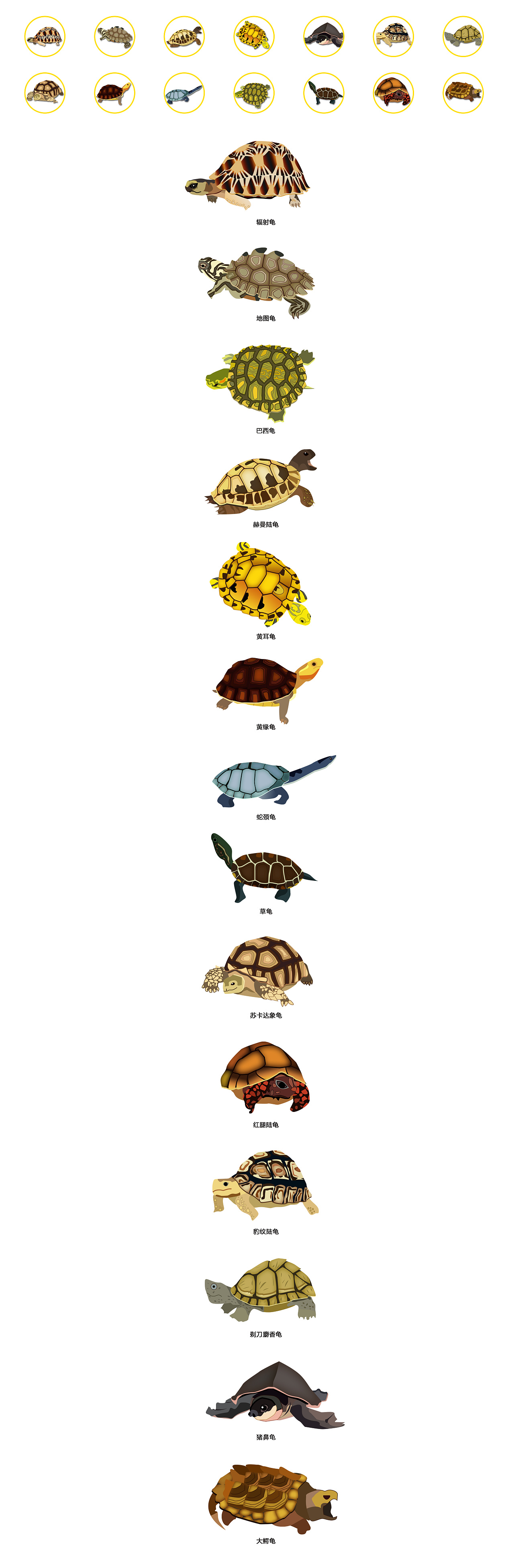 职场shadow_职场草莓族_职场ol